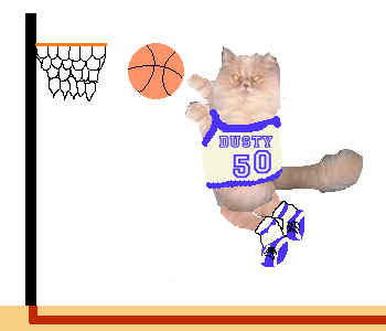 Million Toona Shot