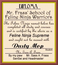 Diploma
