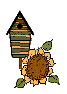 birdhouse