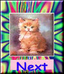 Next