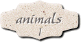 ANIMALS PAGE #1