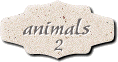 ANIMALS PAGE #2