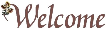 Welcome