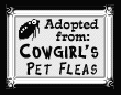 flea adoption certificate