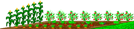 garden for elephant