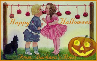 Link to Barb's Roost