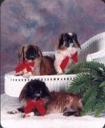 peksmuffbuffbran1997