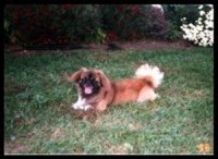 peksspunky1995