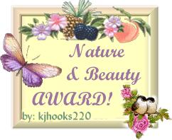 Beauty Award