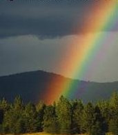 Rainbow Picture3