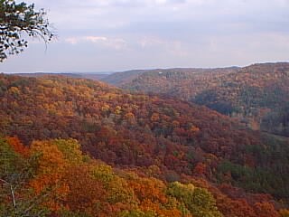 Ky Hills