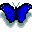 butfly