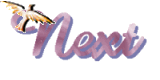 NEXT BUTTON