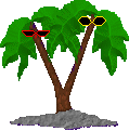 TWO PALMS
GRAPHIC