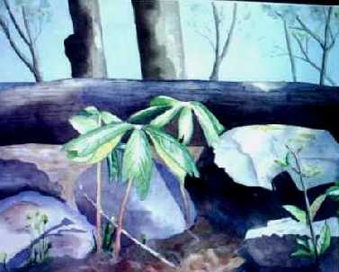 Painting titled 'Quietly, May' 1999