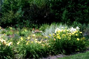 The glorious North Garden