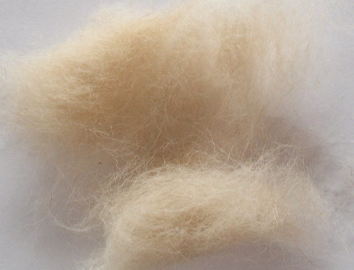 Fluffy hair from the shedding undercoat