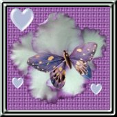 Link to Butterfly Island