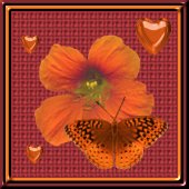 Link to Butterfly Island