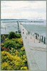 thumbnail picture Pier