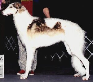 ROCWIN1.jpg (32607 bytes)