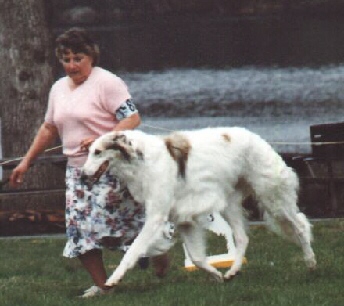 shost.jpg (46388 bytes)