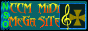 NSOM