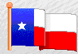 Texas Flag
