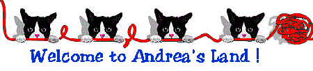 Andrea's Land