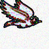 flying bird