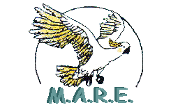 mare logo