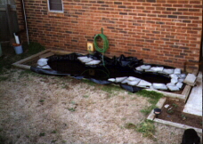 Pond3.jpg (183333 bytes)