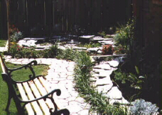 Pond7.jpg (130325 bytes)
