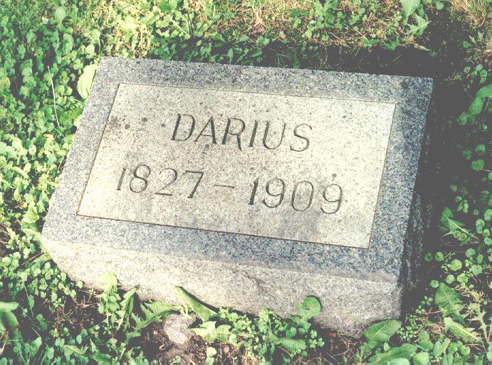 Darius