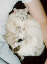 Missy and Bashful Cuddles