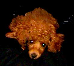 Annie