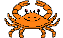 Crab Image