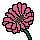 Gerbera Icon #2