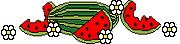 Melon Image