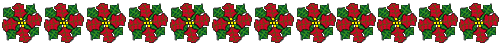 Poinsettia Line