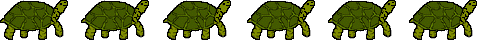 Turtles