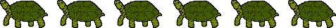 Turtles