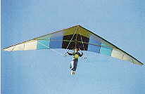 Delta-Wing