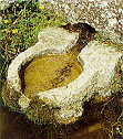 Small Fountain