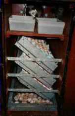 incubator setup