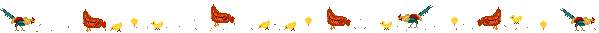 chicken bar