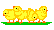 chicks