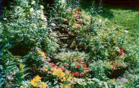 pic2