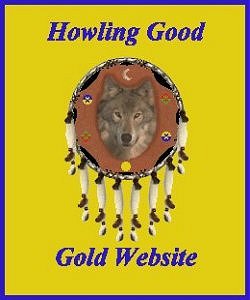Gold Website Award