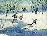 Winter Flight
